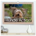 Hunde Action (hochwertiger Premium Wandkalender 2025 DIN A2 quer), Kunstdruck in Hochglanz - Wiebke von der Heyde