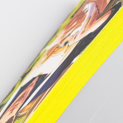 InsideView 4