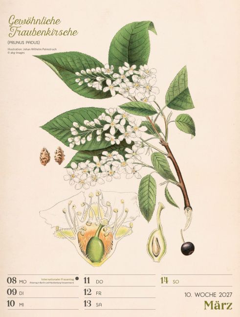 InsideView 14