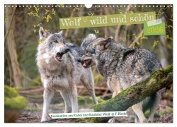 Cover-Bild zum Titel 'Wolf - wild und schön (Wandkalender 2026 DIN A3 quer), CALVENDO Monatskalender' von 'Tanja Riedel'