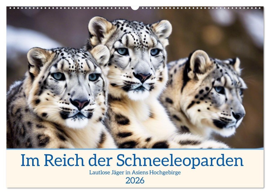 Im Reich der Schneeleoparden (Wandkalender 2026 DIN A2 quer), CALVENDO Monatskalender - Claudia Kleemann