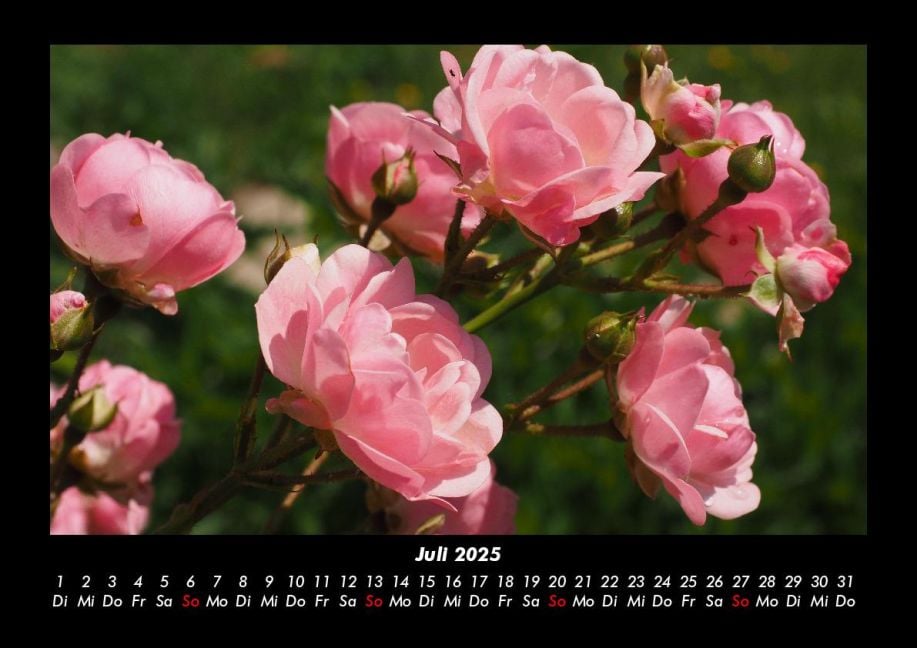 InsideView 11