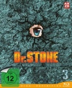 Cover-Bild zum Titel 'Dr. Stone' von 'Boichi, Yuichiro Kido, Tyler Walker, Riichiro Inagaki, Aaron Dismuke'
