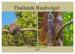 THAILANDS RAUBVÖGEL Exotische Greifvögel und Eulen (Wandkalender 2025 DIN A3 quer), CALVENDO Monatskalender - Arne Wünsche