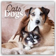 Cover-Bild zum Titel 'Cats and Dogs - Katzen und Hunde 2027 - 16-Monatskalender' von 'Gifted Stationery Co. Ltd'