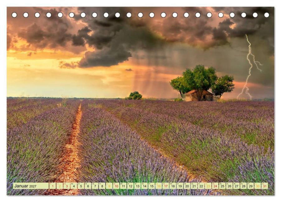 InsideView 6