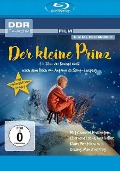 Cover-Bild zum Titel 'Der kleine Prinz' von 'Angel Vagenshtain, Kiril Tsibulka'
