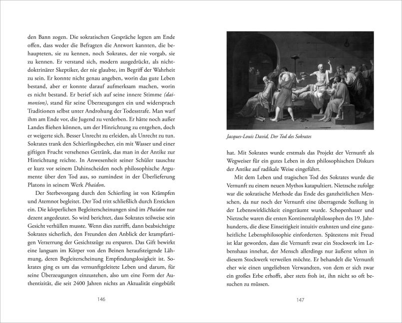 InsideView 6