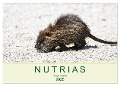 NUTRIAS - Pelzige Gesellen (Wandkalender 2025 DIN A2 quer), CALVENDO Monatskalender - Robert Styppa