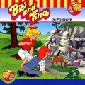 Cover-Bild zum Titel 'Folge 45:Der Pferdedieb' von 'Bibi & Tina'
