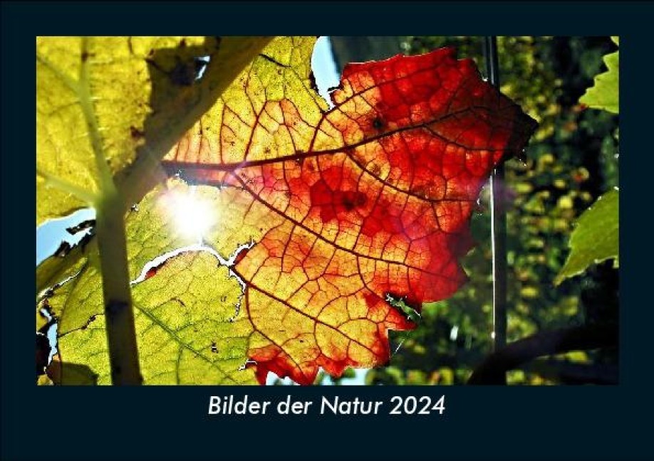 Bilder der Natur 2024 Fotokalender DIN A5 - Tobias Becker