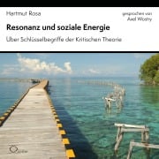 Cover-Bild zum Titel 'Resonanz und soziale Energie' von 'Hartmut Rosa'