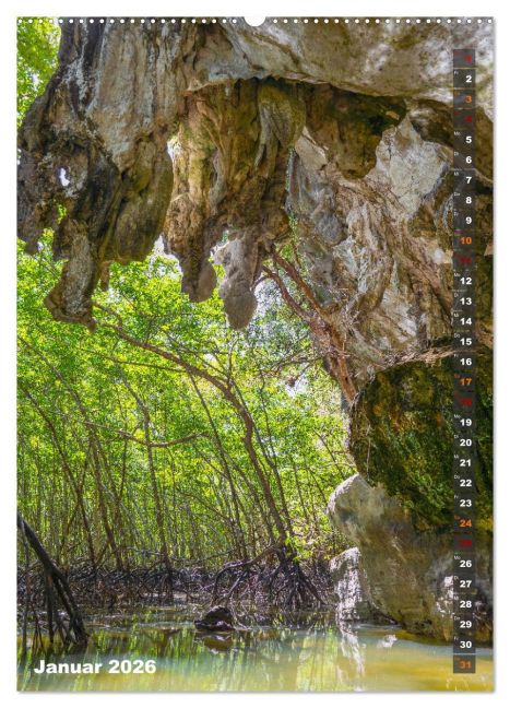 InsideView 5
