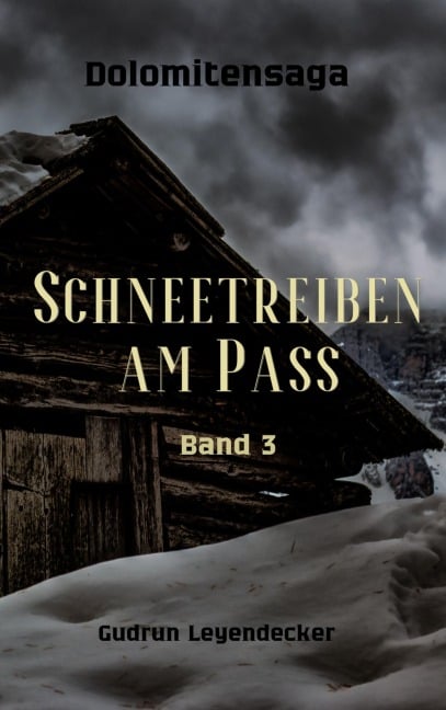 Schneetreiben am Pass - Gudrun Leyendecker