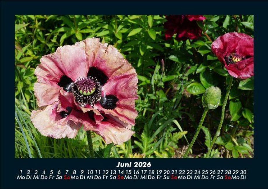 InsideView 10