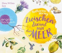 Cover-Bild zum Titel 'Zwischen dir und mir das Meer' von 'Katharina Herzog'