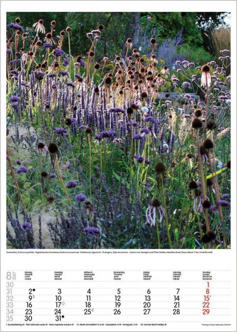 InsideView 8