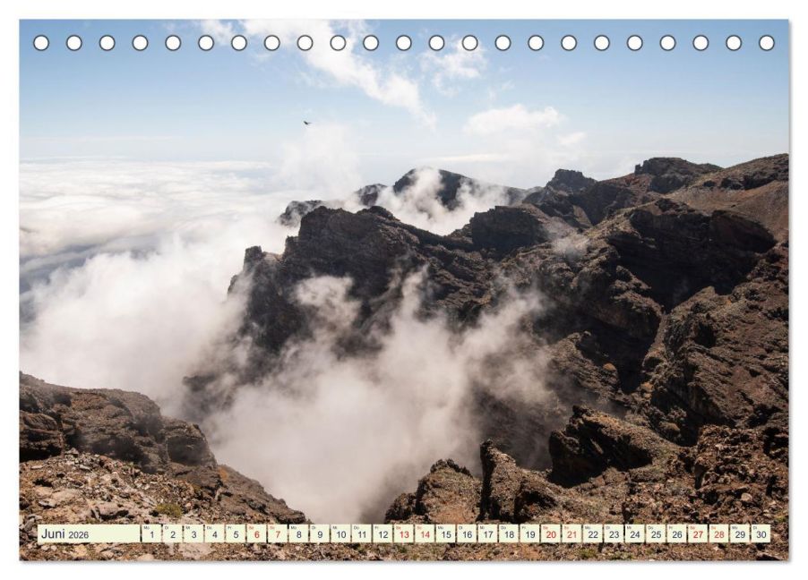 InsideView 11