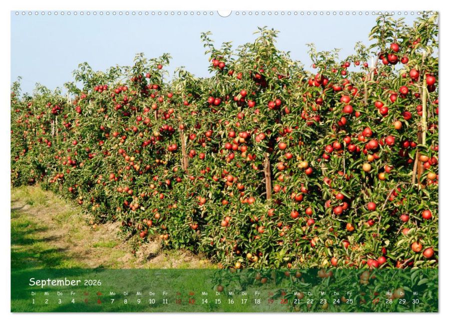 InsideView 13