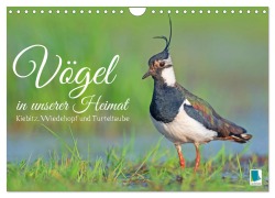 Cover-Bild zum Titel 'Vögel in unserer Heimat: Kiebitz, Wiedehopf und Turteltaube (Wandkalender 2026 DIN A4 quer), CALVENDO Monatskalender' von 'Calvendo Calvendo'