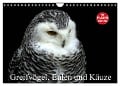Greifvögel, Eulen und Käuze (Wandkalender 2025 DIN A4 quer), CALVENDO Monatskalender - Arno Klatt