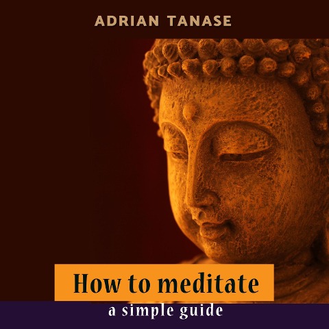 How To Meditate - Adrian Tanase