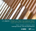 Cover-Bild zum Titel 'Erhalt uns Herr,bei deinem Wort-Kantaten/Missa' von 'Mields/Schachtner/Rademann/Gaechinger Cantorey'
