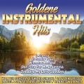 Cover-Bild zum Titel 'Goldene Instrumental Hits' von 'Various'