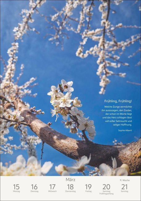 InsideView 7