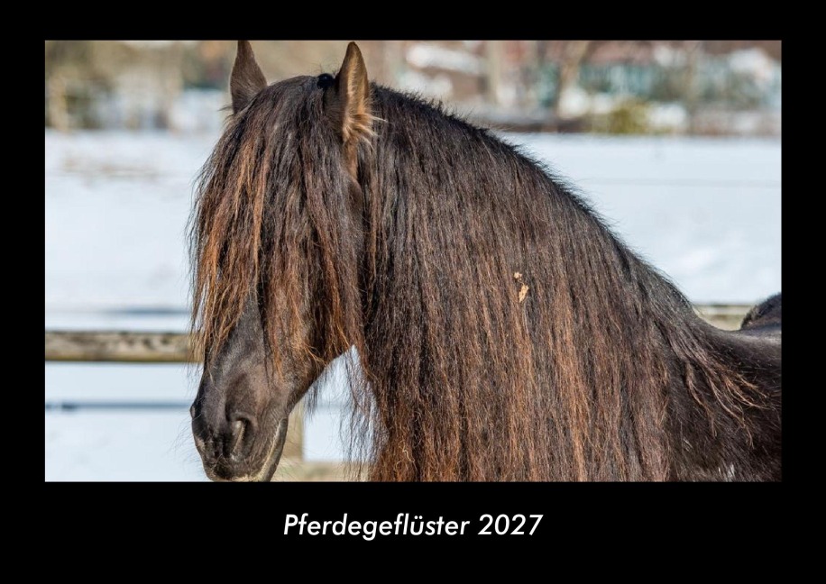 Pferdegeflüster 2027 Fotokalender DIN A3 - Tobias Becker
