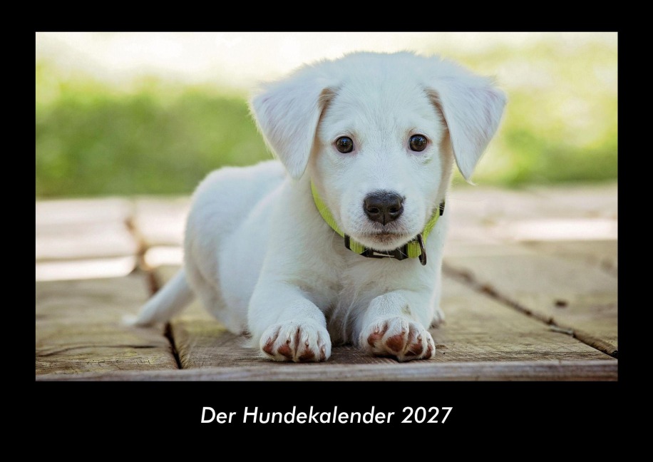Der Hundekalender 2027 Fotokalender DIN A3 - Tobias Becker