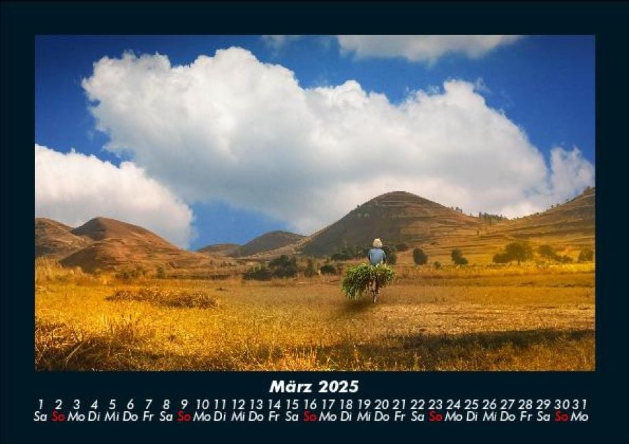 InsideView 7