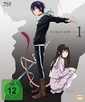 Cover-Bild zum Titel 'Noragami' von ''