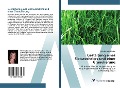 Cover-Bild zum Titel 'Gestaltung eines Siebwechslers und einer Granulierung' von 'Christine Brameshuber'