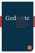 Cover-Bild zum Titel 'Gedichte' von 'Johann Wolfgang von Goethe'