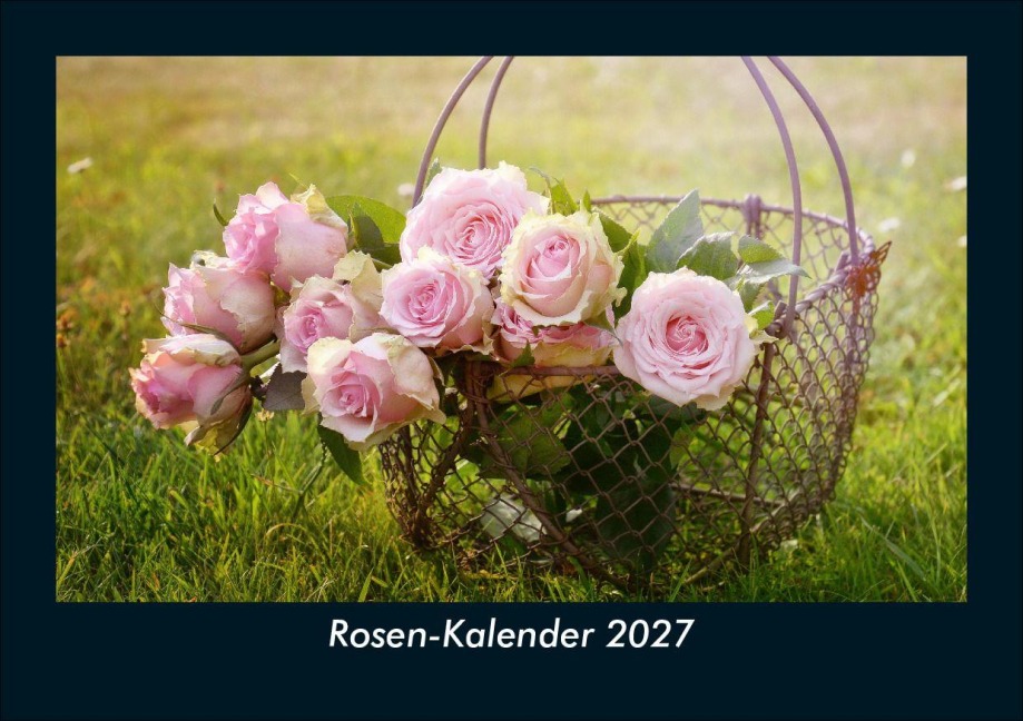 Rosen-Kalender 2027 Fotokalender DIN A5 - Tobias Schmitt, Kevin Heber