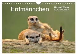 Cover-Bild zum Titel 'Erdmännchen - Tierkinder (Wandkalender 2026 DIN A4 quer), CALVENDO Monatskalender' von 'Michael Weber'