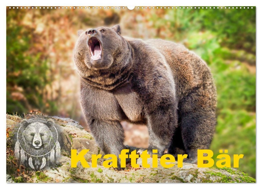 Krafttier Bär (Wandkalender 2026 DIN A2 quer), CALVENDO Monatskalender - Johann Schörkhuber