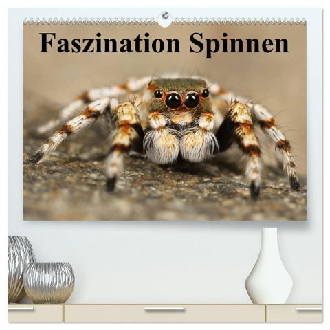 Faszination Spinnen (hochwertiger Premium Wandkalender 2025 DIN A2 quer), Kunstdruck in Hochglanz - Elisabeth Stanzer
