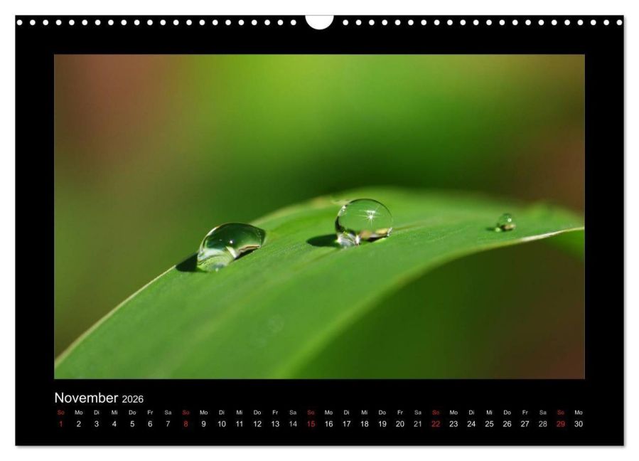 InsideView 3