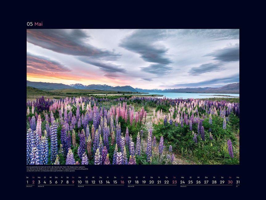 InsideView 10