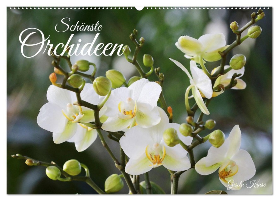 Schönste Orchideen (Wandkalender 2025 DIN A2 quer), CALVENDO Monatskalender - Gisela Kruse