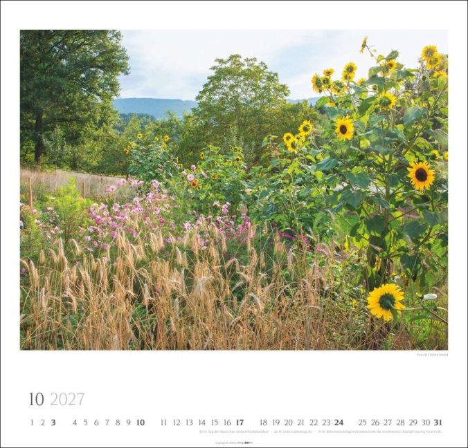 InsideView 10