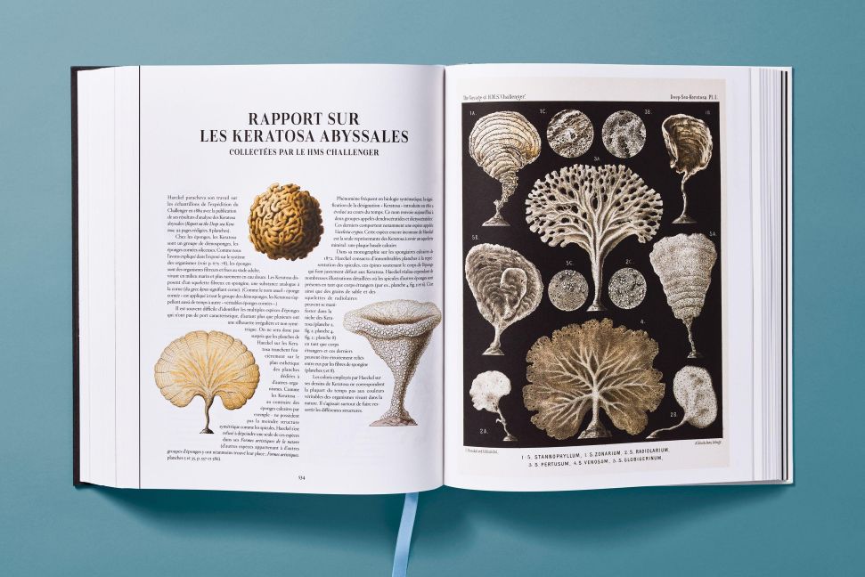 InsideView 18
