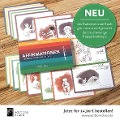 Cover-Bild zum Titel 'Affirmationen-Kartenset' von 'Kathrin Hohmann'