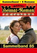 Cover-Bild zum Titel 'Heimat-Roman Treueband 85' von 'Rosi Wallner, Verena Kufsteiner, Andreas Kufsteiner, Marianne Burger'