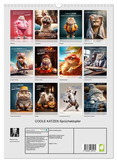 InsideView 5