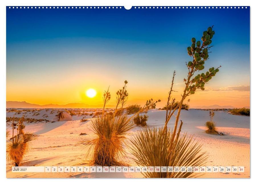 InsideView 11