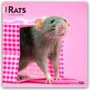 Rats - Ratten 2026 - 16-Monatskalender - Browntrout Publishers