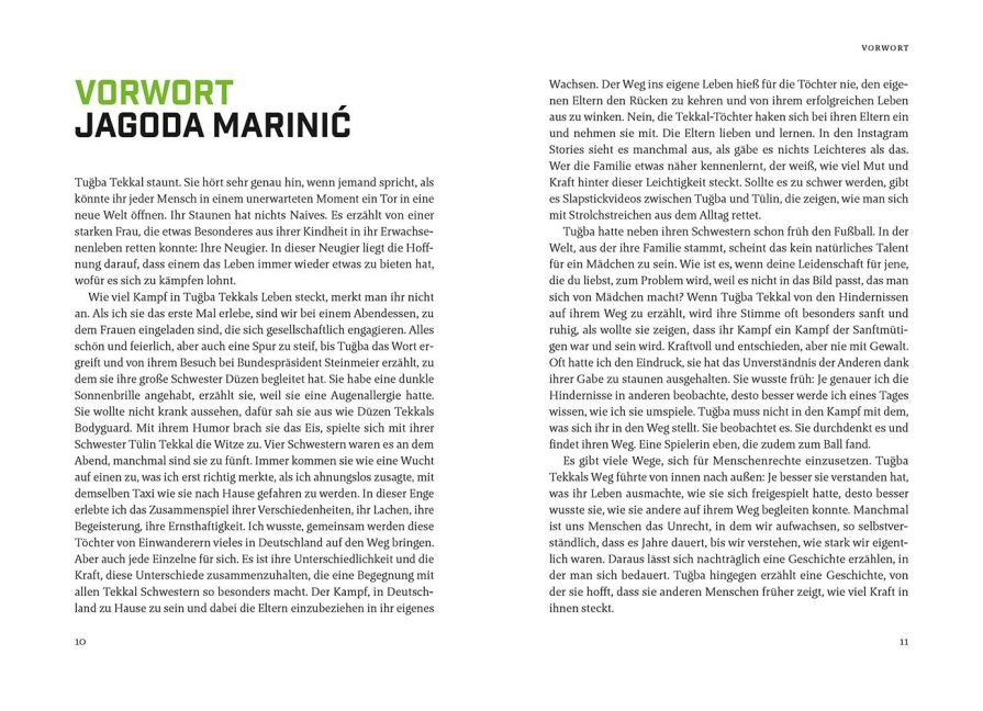 InsideView 5